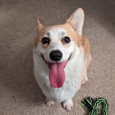 Ecap83's profile picture. Casual Biotech Investor, Dog Lover