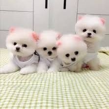 dgot2022's profile picture. 