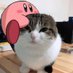 heh (@bunnybored9) Twitter profile photo heh (@bunnybored9) Twitter profile photo