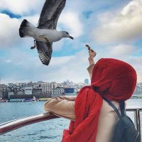Um Dina (@l2g_b) 's Twitter Profile