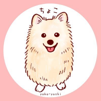 初めてわんこをお迎えしました。毎日可愛くて仕方ありません。 名前はちょこ ポメラニアン4歳 女の子です。#ポメラニアン