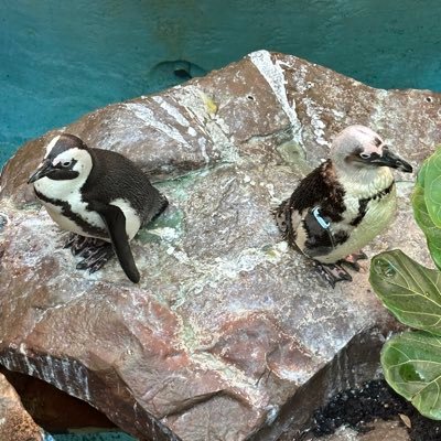 MisterMan5501's profile picture. 21-year-old dude