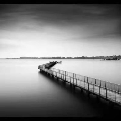 kaneyang1108's profile picture. 