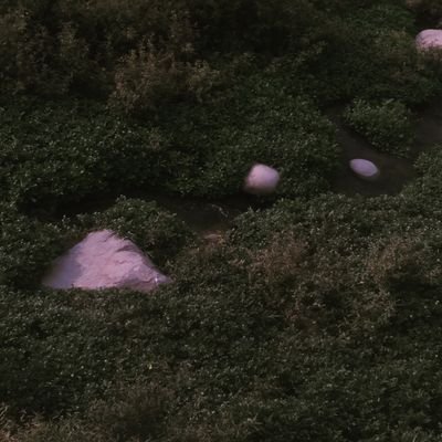 x_Fox_xx's profile picture. ✧･ﾟ: *✧･ﾟ:* 🍊*:･ﾟ✧*:･ﾟ✧