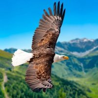 Lexus Krajcik (@krajcik60261) 's Twitter Profile