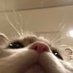 Ronk (@justr0nk) Twitter profile photo Ronk (@justr0nk) Twitter profile photo