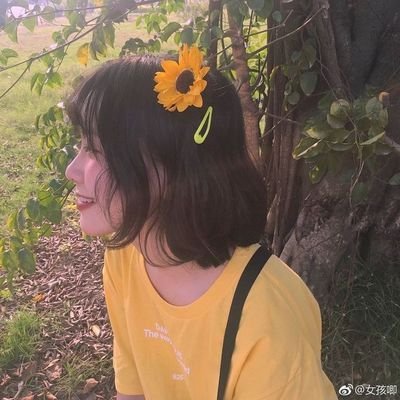 choeeclipse Profile Picture