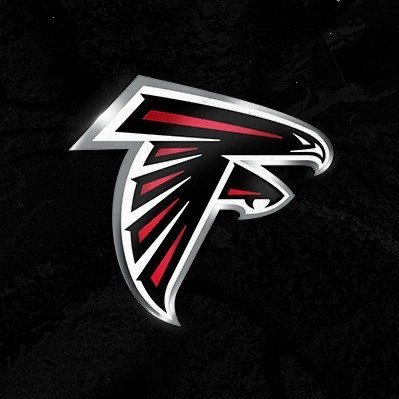 Go Atlanta falcons Michael Vick