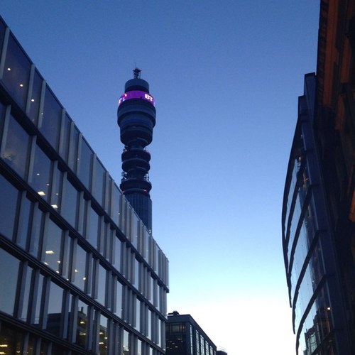 gryle87's profile picture. Chef