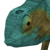 andodevagarinho's profile picture. e os deuses não me mostraram sua face
🏳️‍⚧️

https://t.co/II5aPvEg8m