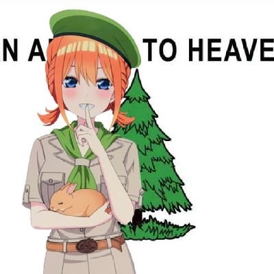 Pat 🇺🇲🌲さんのプロフィール画像