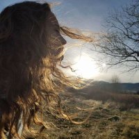 Jess Williams (@jrwreno) 's Twitter Profile