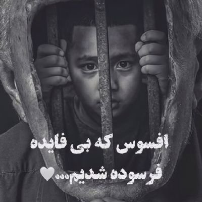 Ali86730's profile picture. 