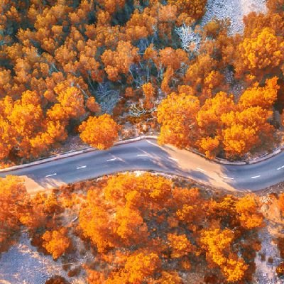 Shahzad36916498's profile picture. 