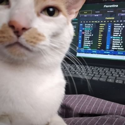 DzesiBlu's profile picture. Мачкар