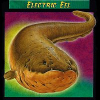 Electric eel(@Joaoper87364943) 's Twitter Profile Photo