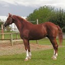 Molly Burger - @mollyburger98 - Twitter