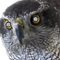 2Crypto4you(@2Crypto4you) 's Twitter Profile Photo