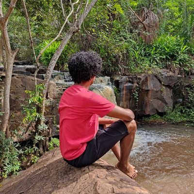 wicullas's profile picture. 