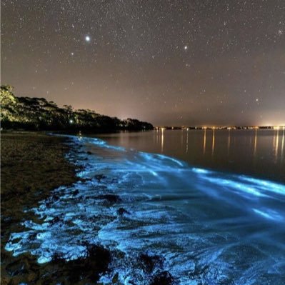 nsnq_87's profile picture. 