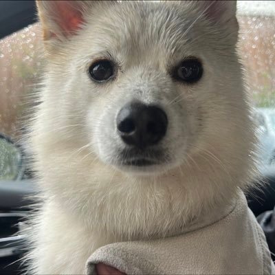 TheiereRussel's profile picture. Extremophobe, Hédoniste, cynique, et vice versa