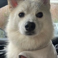 LaTheieredeRussell 🇺🇦🇳🇮 (@theiererussel) 's Twitter Profile Photo