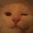maxpen42's profile image