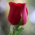 SUMIT (@sumit15780640) Twitter profile photo SUMIT (@sumit15780640) Twitter profile photo