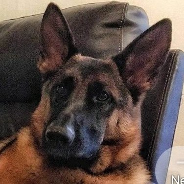 1AndOnlyWiseMan's profile picture. 