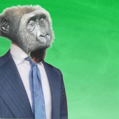 株式会社なかもと引継ソリューション研究所/代表取締役CGO/Chief Gorilla Officer/上野動物園社外取締役/類人猿研究所特別顧問/日本ドラミング協会会長/出版図書:「ゴリラ語で話せ」「バナナは人類を救う」「仕事が出来る人のドラミング術」