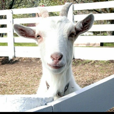 awgn_ky3_mu1319's profile picture. 