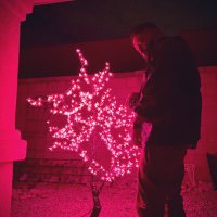 ᴡᴛᴊ slum (@slummmdogg) 's Twitter Profile Photo ᴡᴛᴊ slum (@slummmdogg) 's Twitter Profile Photo