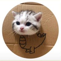 แมวปิรันย่า🐱 🐱 🐱🦖(@Kazsume08) 's Twitter Profile Photo