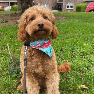 barrysouthern's profile picture. fro di odiodildi