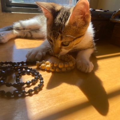 msena31's profile picture. 