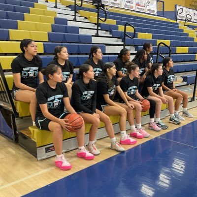 DNLadyKnights's profile picture. 