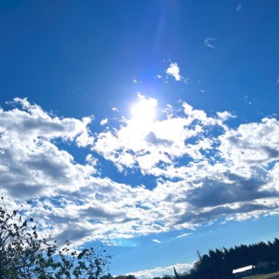yuyuyu_niko's profile picture. #ロードバイク🚴 #TREK🚵‍♀️ #プレミアリーグ⚽️ 元メンエスぽっちゃり店長🤣楽しかったなぁ💖現在、上野しゃんぜりぜに籍を置いております⭐️色々なポストをしていきますので暇な時に覗いて下さい(๑╹ω╹๑ ) 💕HP➡️https://t.co/DX91c4wxSr ネット予約は下のリンク🔗⬇️