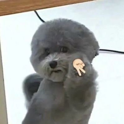 MooonTeeeth's profile picture. @niightbiite 's public (still nsfw) acc | 21 | minors/no ages get blocked