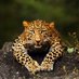 Pradeep Paswan (@impradeep35) Twitter profile photo Pradeep Paswan (@impradeep35) Twitter profile photo