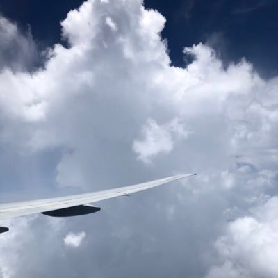 AuxtinDev's profile picture. 