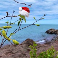 Ivy’s Journey (@ivy_journeys) 's Twitter Profile