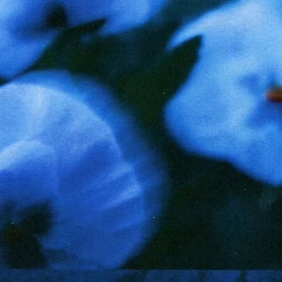 9_2_98's profile picture. 