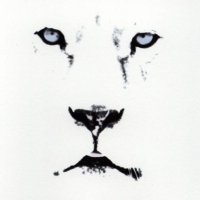 Lionidas (@jr98726272) 's Twitter Profile
