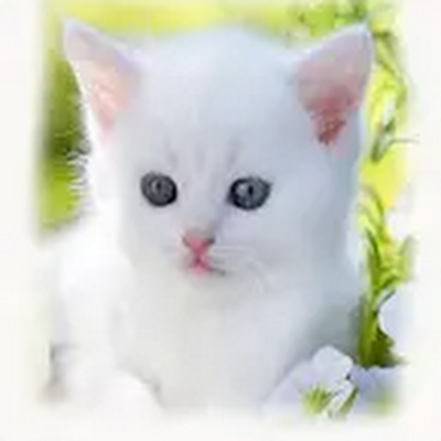 Ezanakib's profile picture. 