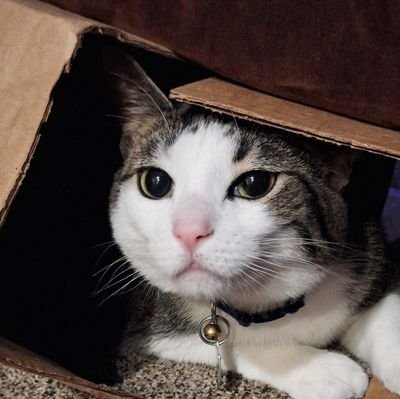 PuggotheMuggo's profile picture. 16 Male (He/Him) Str8

If you couldn't tell already I'm into art and a marvel nerd. That pretty much sums me up.