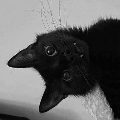 PixelXplosion12's profile picture. 💜