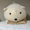 hamhamtaro26's profile picture. はむ太郎🦁 特技:はんぱない威力の片手水鉄砲 趣味:爆食い 心が大きい人間