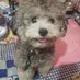 Chris (@chris476158) Twitter profile photo Chris (@chris476158) Twitter profile photo