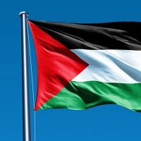 Sayed Tantawy (@tanta92656sayed) Twitter profile photo