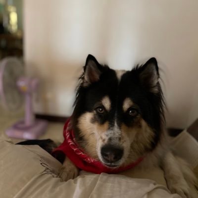 Kanebkk's profile picture. 